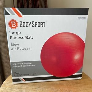 Large fitness ball